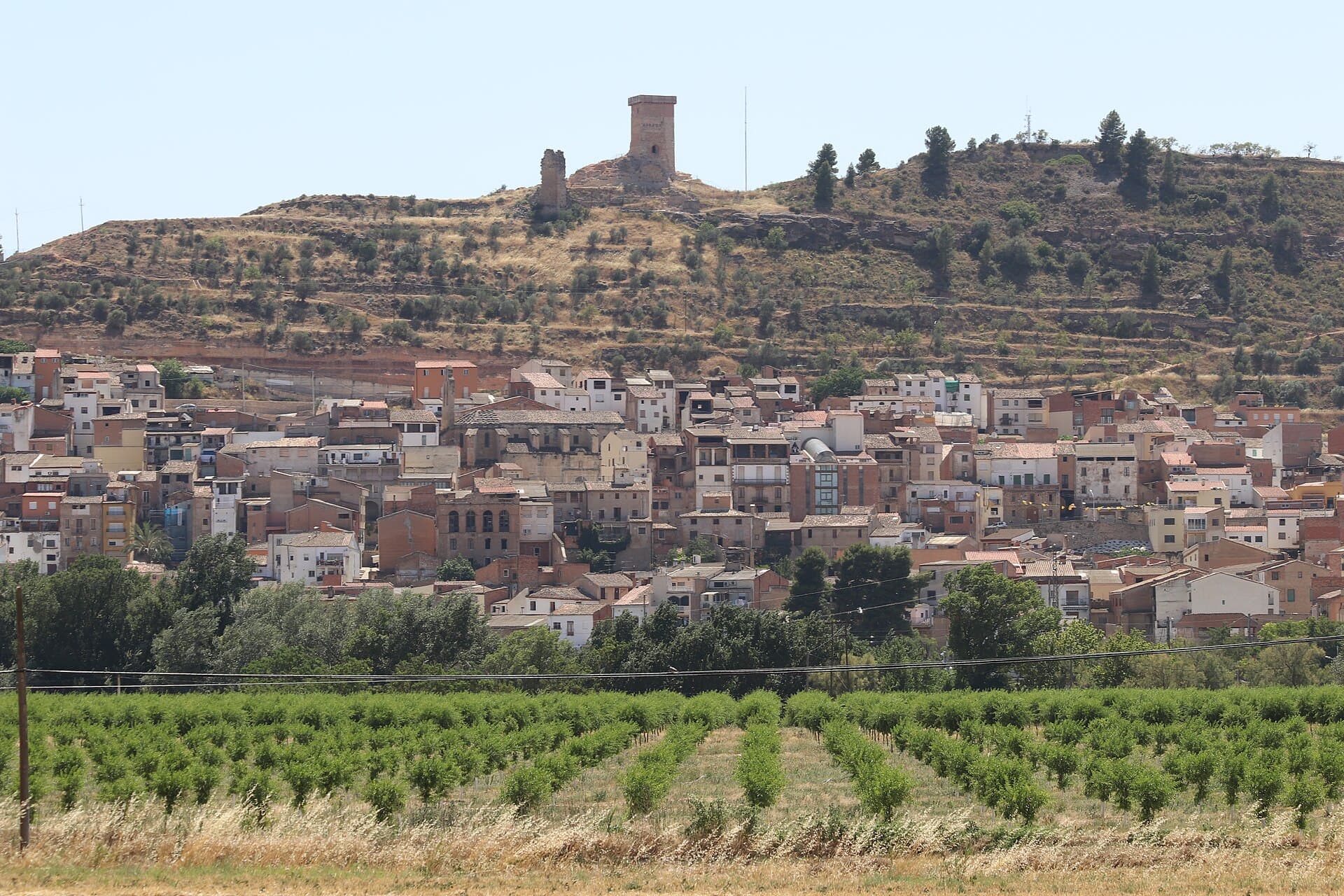 Ascó, on va néixer